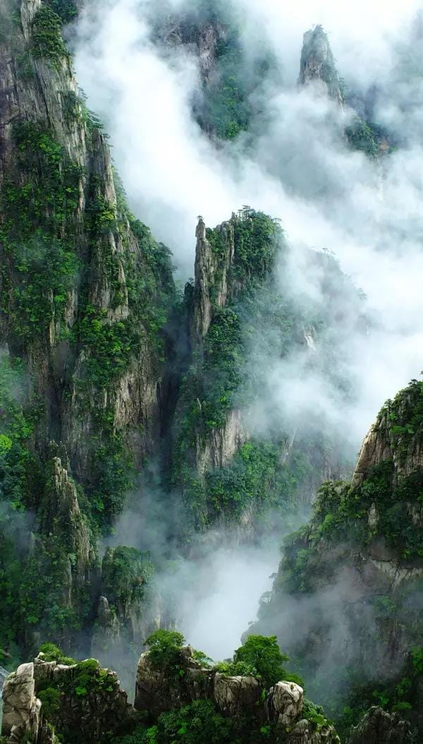 黃山又一次震驚全國！恍如人間仙境，美到極致！