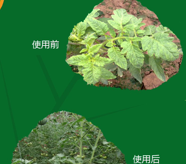氯氟聯(lián)苯吡菌胺如何實(shí)現(xiàn)我國首家登記？