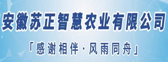 守望初心勇?lián)?dāng)，篤定前行綻芳華